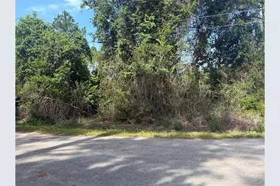 Tbd Malauka Terrace, Ocklawaha, FL 32179 - Photo 3