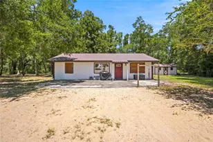 13051 NE 60th St, Williston, FL 32696 - Photo 3