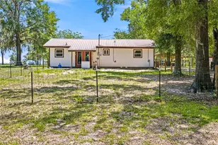 13051 NE 60th St, Williston, FL 32696 - Photo 19