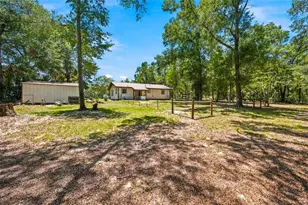 13051 NE 60th St, Williston, FL 32696 - Photo 25