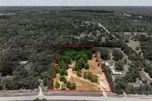 13051 NE 60th St, Williston, FL 32696 - Photo 31