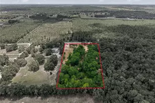 13051 NE 60th St, Williston, FL 32696 - Photo 33