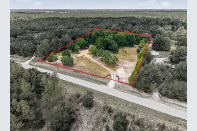 13051 NE 60th Street, Williston, FL 32696 - Photo 21