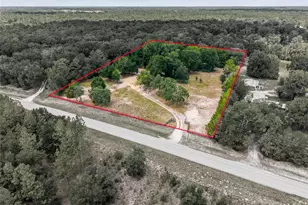 13051 NE 60th St, Williston, FL 32696 - Photo 21