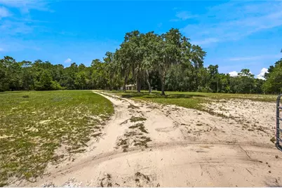 13051 NE 60th Street, Williston, FL 32696 - Photo 23