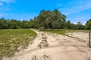 13051 NE 60th St, Williston, FL 32696 - Photo 23