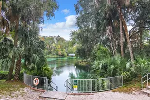 9000 SW 203rd Ct, Dunnellon, FL 34431 - Photo 85