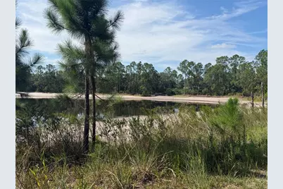Tbd Malauka Pass Trail, Ocklawaha, FL 32179 - Photo 1