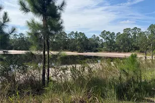 Tbd Malauka Pass Trail, Ocklawaha, FL 32179 - Photo 1
