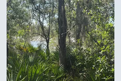 Tbd Malauka Pass Trail, Ocklawaha, FL 32179 - Photo 3