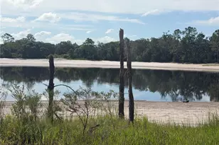 Tbd Malauka Pass Trail, Ocklawaha, FL 32179 - Photo 1