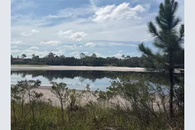Tbd Malauka Pass Trail, Ocklawaha, FL 32179 - Photo 3