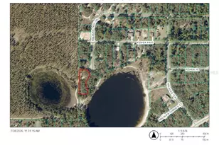 Tbd Malauka Pass Trail, Ocklawaha, FL 32179 - Photo 1