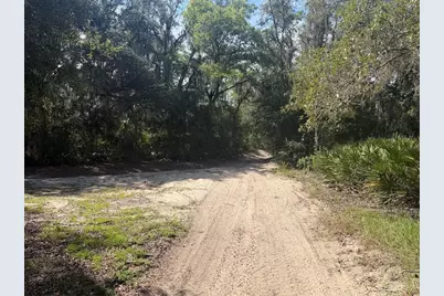 Tbd Malauka Pass Trail, Ocklawaha, FL 32179 - Photo 5