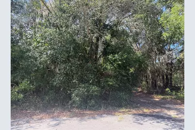 Tbd Malauka Pass Trail, Ocklawaha, FL 32179 - Photo 7