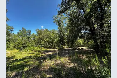 Tbd NE 81st Street, Bronson, FL 32621 - Photo 9