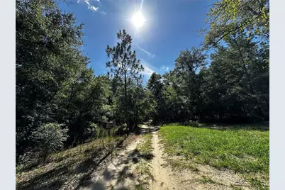 Tbd NE 81st Street, Bronson, FL 32621 - Photo 23