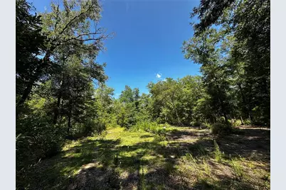 Tbd NE 81st Street, Bronson, FL 32621 - Photo 7