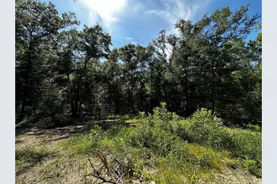 Tbd NE 81st Street, Bronson, FL 32621 - Photo 15