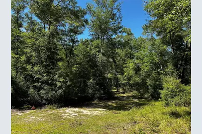 Tbd NE 81st Street, Bronson, FL 32621 - Photo 13
