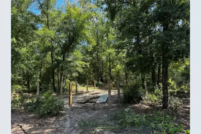 Tbd NE 81st Street, Bronson, FL 32621 - Photo 5