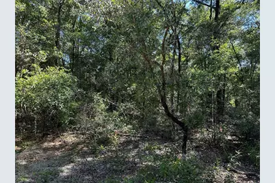 Tbd NE 81st Street, Bronson, FL 32621 - Photo 17