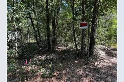 Tbd NE 81st Street, Bronson, FL 32621 - Photo 11