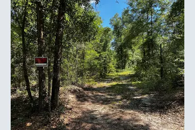 Tbd NE 81st Street, Bronson, FL 32621 - Photo 3