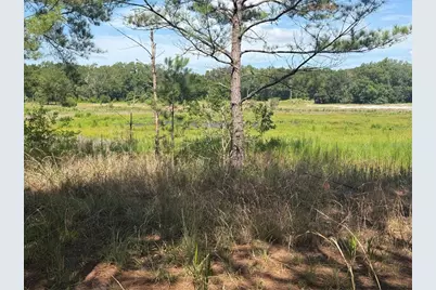 Tbd Guava Terrace, Ocklawaha, FL 32179 - Photo 1