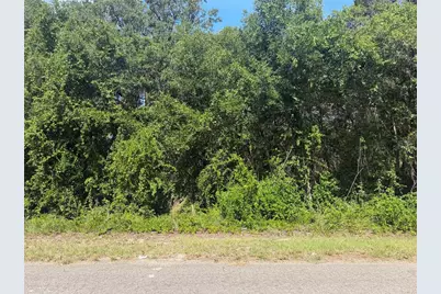 Tbd Guava Terrace, Ocklawaha, FL 32179 - Photo 3