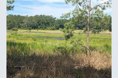 Tbd Guava Terrace, Ocklawaha, FL 32179 - Photo 7