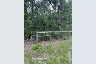 5730 SE County Road 337, Morriston, FL 32668 - Photo 7