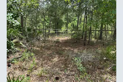 5730 SE County Road 337, Morriston, FL 32668 - Photo 11