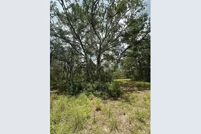 5730 SE County Road 337, Morriston, FL 32668 - Photo 15