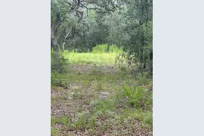 5730 SE County Road 337, Morriston, FL 32668 - Photo 1