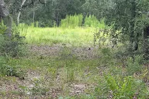 5730 SE Co Rd 337, Morriston, FL 32668 - Photo 1