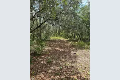 5730 SE County Road 337, Morriston, FL 32668 - Photo 17