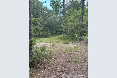 5730 SE County Road 337, Morriston, FL 32668 - Photo 19