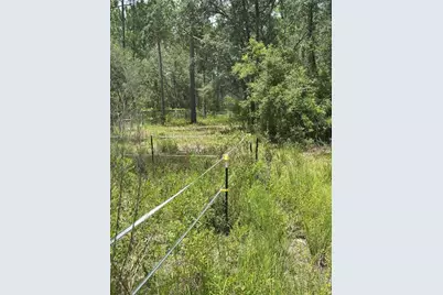 5730 SE County Road 337, Morriston, FL 32668 - Photo 13