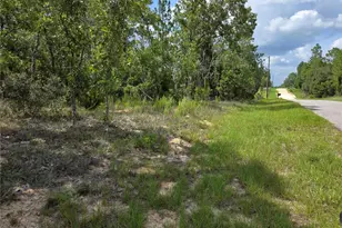 0000 NE 150th Ave, Williston, FL 32696 - Photo 1