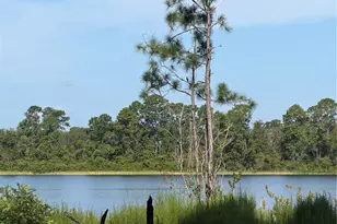 Tbd Malauka Radial, Ocklawaha, FL 32179 - Photo 1