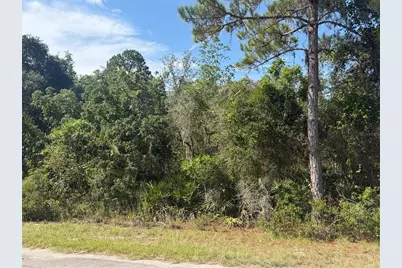 Tbd Malauka Radial, Ocklawaha, FL 32179 - Photo 5