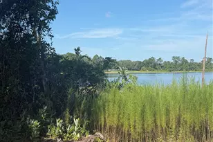 Tbd Malauka Radial, Ocklawaha, FL 32179 - Photo 1