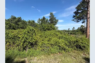 Tbd Malauka Radial, Ocklawaha, FL 32179 - Photo 9