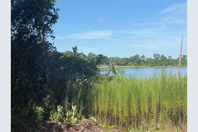 Tbd Malauka Radial, Ocklawaha, FL 32179 - Photo 3