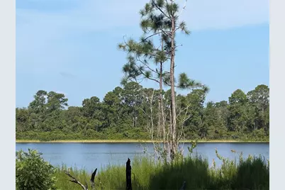Tbd Malauka Radial, Ocklawaha, FL 32179 - Photo 3