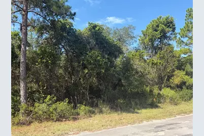 Tbd Malauka Radial, Ocklawaha, FL 32179 - Photo 5