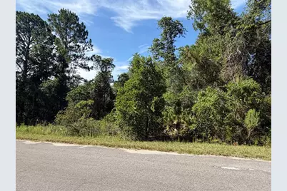 Tbd Malauka Radial, Ocklawaha, FL 32179 - Photo 7