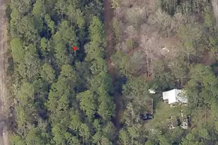 00 NE 65th Ave, Citra, FL 32113 - Photo 1