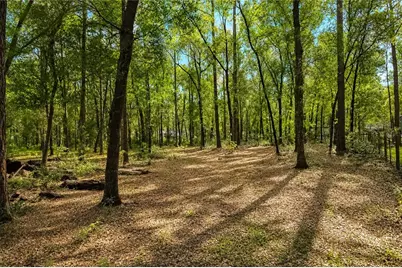 15970 NW 53rd Street, Morriston, FL 32668 - Photo 65